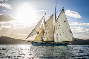 Salmon Dinner Sail  @ The Schooner Zodiac  | Bellingham | Washington | United States