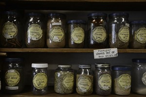 wonderland tea spice