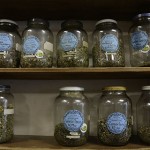 wonderland tea jars