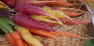 bellingham farmers market