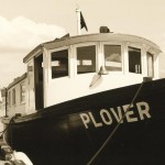 Plover – with R Sturgill