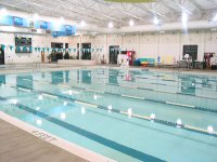 swimming bellingham