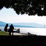 boulevard-picnic