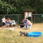 lake padden dog park