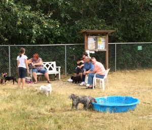 dog park bellingham