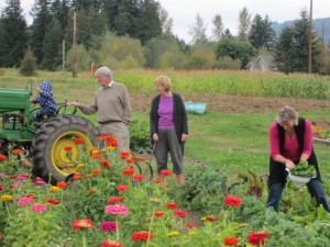 u-pick farm bellingham