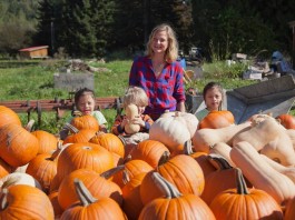 u-pick farm bellingham
