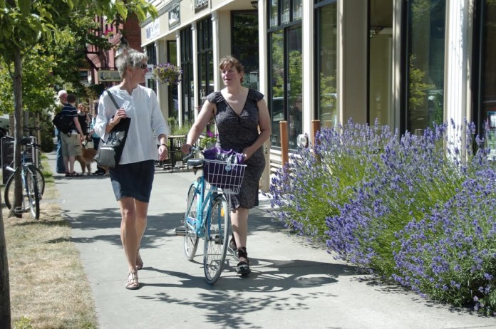 smart trips fairhaven smart trips fair haven