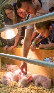 The Small Animal Experience exhibit brought smiles to visitors young and old. 