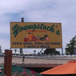 Youngstock’s