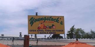 Youngstock's Country Farms