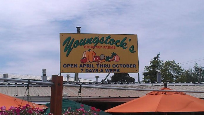 Youngstock's Country Farms