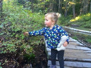 hiking kids bellingham