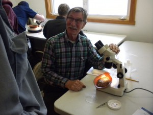 Pete Haase helps determine the age of surf smelt eggs collected from Fidalgo Bay.