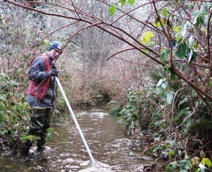 Environmental hero, Pete Haase, counts returning Sockeye and Coho in Finney Creek near Lake Samish.