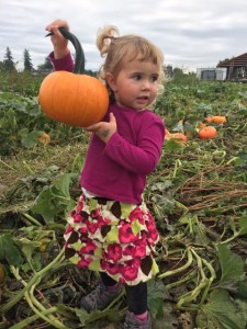 pumpkin patch bellingham