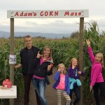 adams corn maze