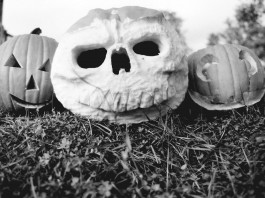 halloween bellingham