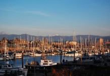 Port of Bellingham