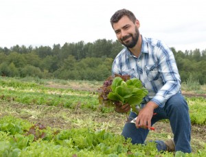 sustainable connections