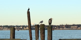 Boulevard Park