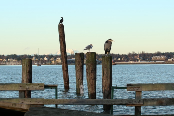 Boulevard Park
