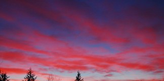 Bellingham weekend events