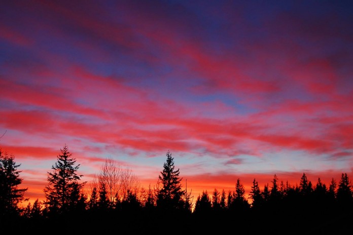 Bellingham weekend events