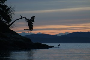 Wildlife viewing can be enjoyed from the rocky shore of Larrabee State Park.