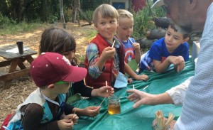 Camp Honey @ The Outback Farm | Bellingham | Washington | United States