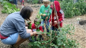Farm Camp @ The Outback Farm | Bellingham | Washington | United States