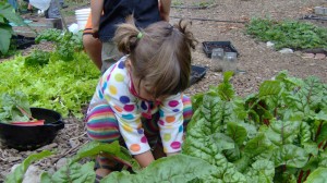 Preschool in the Garden @ The Outback Farm | Bellingham | Washington | United States