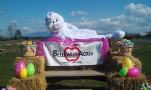 BelleWood Acres Easter