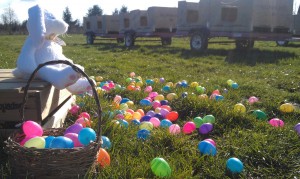 BelleWood Acres Easter