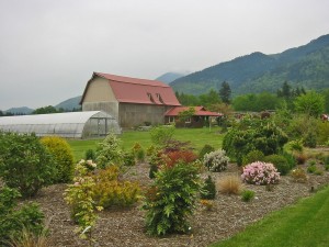 Cloud Mountain Farm Center