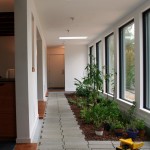 Dan Welch bundle birch house solarium