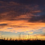 Zuanich Point Park
