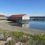 Semiahmoo Marina
