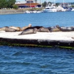 Semiahmoo Marina