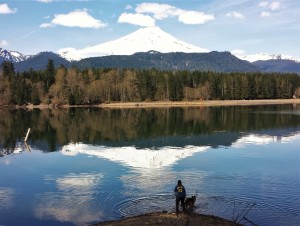 Axle the German Shepherd enjoys splashing around in Baker Lake.