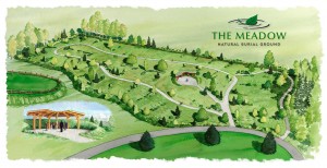 An artists interpretation of what The Meadow will eventually look like. Photo courtesy: Brian Flowers.