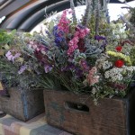 Beth Hailey Dona Flora Dried Flowers 2