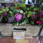 Beth Hailey Dona Flora Small Bouquets