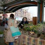Beth Hailey Dona Flora Purchase