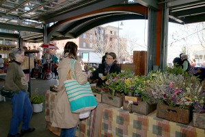 Visitors of the Bellingham Farmers Market can't help but stop by Beth's booth to smell the fragrant floral arrangements. 