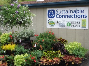 Cascade Cuts Plant Sale Extravaganza  @ Cascade Cuts Nursery | Centreville | Alabama | United States