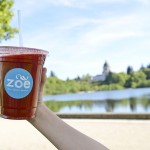 zoe juice bar