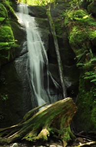 Chuckanut Falls