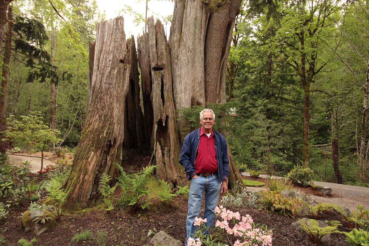 Discover Plants History Music And More At Glen Echo Garden