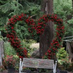 Glen Echo Garden Heart